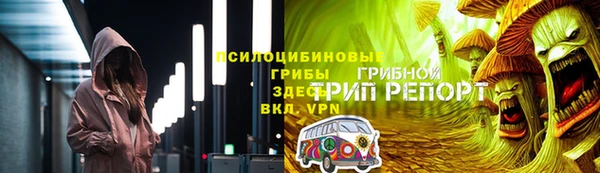 тгк Нея