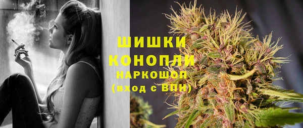 тгк Нея