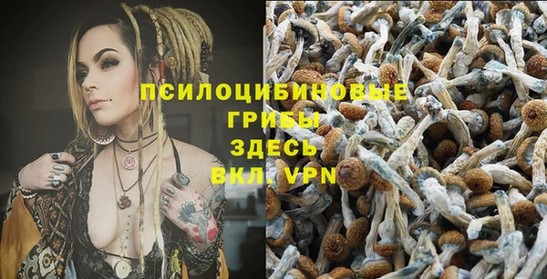 мескалин Нефтекумск